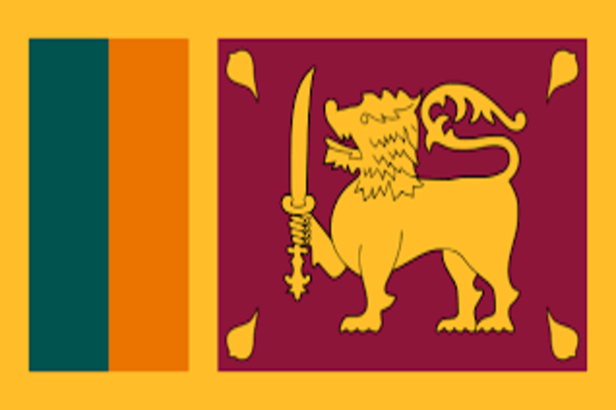 desi flags